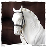 In hand bridle for model horses made by Jana Skybova